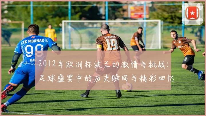 2012年欧洲杯波兰的激情与挑战：足球盛宴中的历史瞬间与精彩回忆