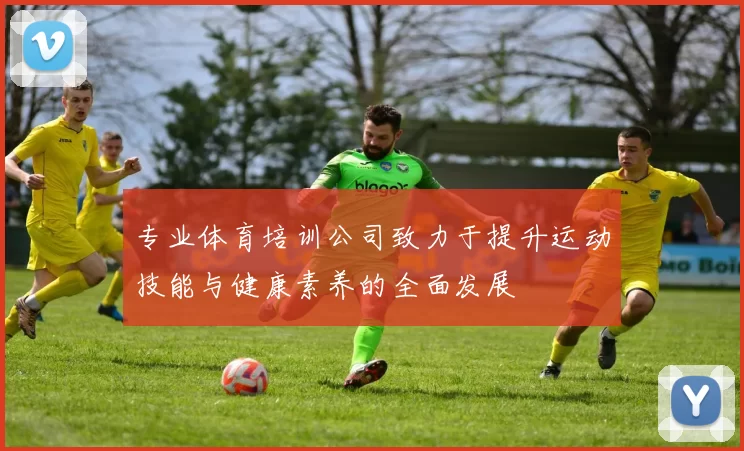 专业体育培训公司致力于提升运动技能与健康素养的全面发展