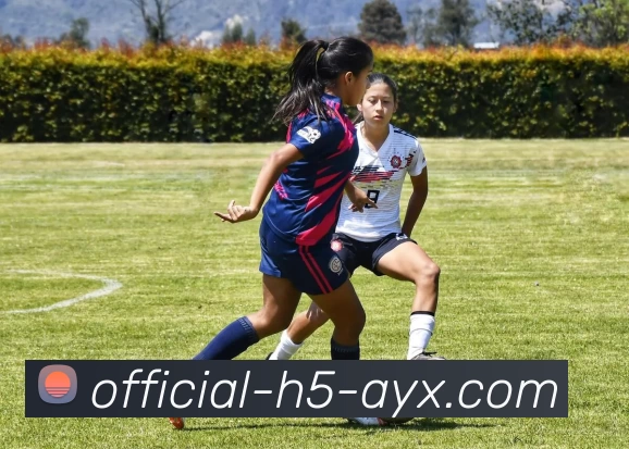 爱游戏平台生态图